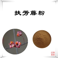 扶芳藤粉 速溶粉 沃特莱斯生物 棕色粉末 可水溶