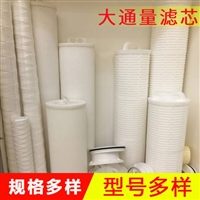 大流量保安过滤器滤芯  大通量滤芯