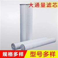 大通量滤芯 PP微孔折叠滤芯环保水处理