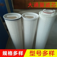 大通量滤芯 折叠膜滤芯，微孔滤芯