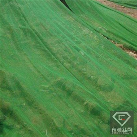 防尘盖土网 工地环保绿网 防尘盖土网 防尘防晒网 东驰品牌