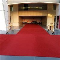 4米大宽幅 经济常用丙纶圈绒地毯 上海生产厂家长期供应