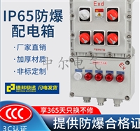BXMD防爆照明配电箱IP65防雨配电箱ExdIICT6动力箱4回路6回路8回路