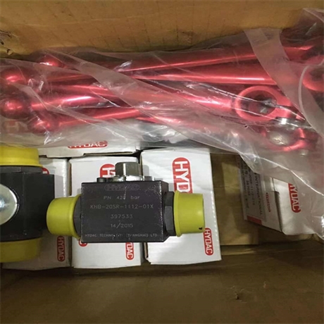 检测Hydac液压阀DB08A-01-C-N-050-V20