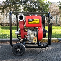 翰丝单缸/2.5寸双缸柴油消防泵