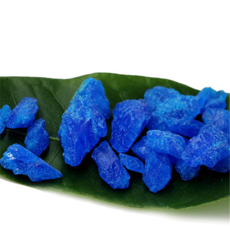 信阳铜溶液用于水族馆中以及除去蜗牛 荣茂