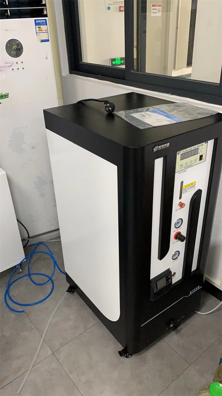 安研仪器 流量 压力可订制  食品包装制氮机 ayan-10l