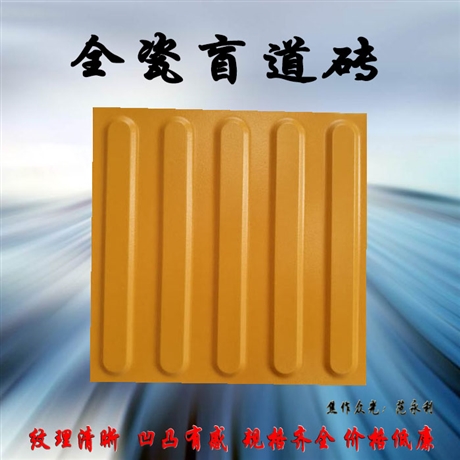 高铁站路口盲道砖 人行道全瓷盲道砖杂卖 众光瓷业