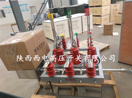 HZW10-10高压双电源真空开关