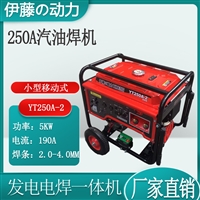 便携式汽油发电电焊机YT250A-2