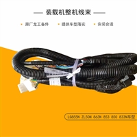 原厂龙工装载机仪表盘 驾驶室整机线束 855N 863 850配件