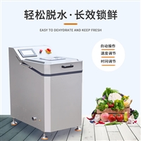 预制菜自动脱水机 中小型水果蔬菜脱水设备