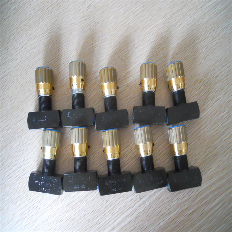 单向阀FT1251/2-01-38库存多丽拿厂家质保产品