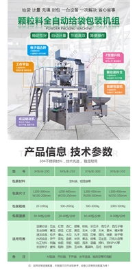 铝箔包装给袋式定量包装机 技术支持 安徽信远