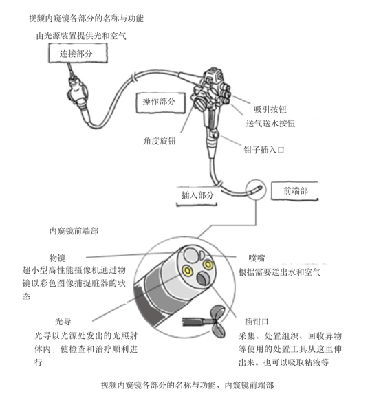 奥林巴斯内窥镜的构造与功能