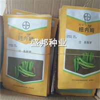 圣保罗辣椒苗 大羊角 中早熟品种  黄绿皮辣椒种子种苗