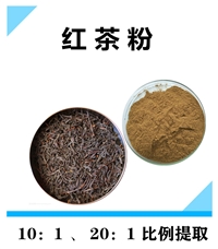 红茶提取物 沃特莱斯生物 食品级原粉 