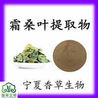 霜桑叶提取物10:1 霜桑叶粉原粉 霜桑叶速溶粉