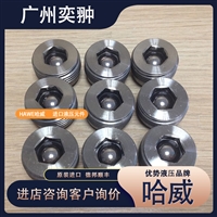 德国原装进口HAWE哈威RB 1液压单向阀