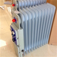 防爆电热器 发热稳定电热器 RB-2000/127A矿用防爆电热器