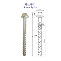 云南Ss24螺旋道钉、Ss24木螺纹道钉定制