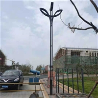 沧州太阳能路灯杆 LED单双臂道路照明灯 工程安装 生产定制