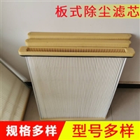  板式除尘滤芯 扁式方框除尘滤筒  粉尘滤芯 干粉过滤器