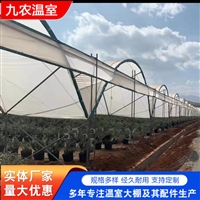 蓝莓避雨棚 Y型立柱连体设计 通风畅快