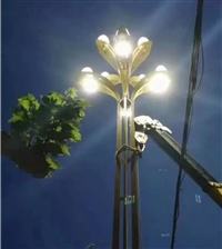 甘肃户外照明灯具 道路景观玉兰灯 园林广场10米玉兰灯定制