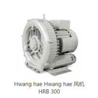 HWANGHAE鼓风机