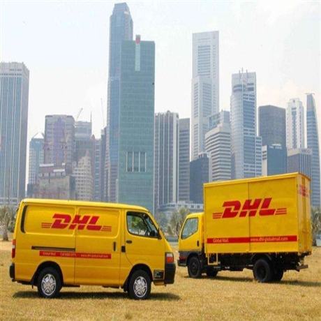 合肥DHL快递寄件流程  邮寄美国 加拿大 欧洲