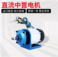 中置电机 环中宇牌 电动车减速直流无刷电动机 质保一年