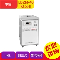 自动翻盖式 申安高压蒸汽灭菌器LDZM-40KCS-II蒸汽内排