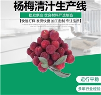 杨梅果酒酿酒生产线厂家  2000吨每年杨梅汁饮料设备定制