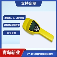 XY-1050多功能辐射检测仪可快速检测α、β、γ和X射线