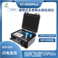 XY-6000Plus便携式多参数水质检测仪 COD氨氮总磷总氮检测一体机