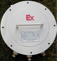 中天ExdCT6防爆电控柜爆炸粉尘环境专用品种齐全ZTBX(M)