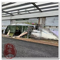 镜面蚂蚁不锈钢雕塑 一体无缝锻造 流畅无缝 手工精细锻造