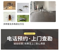 深圳罗湖办公室杀蟑螂价格  灭蟑螂公司收费标准