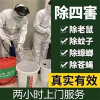 深圳罗湖家庭杀蟑螂24小时上门服务  灭蟑螂公司如何收费