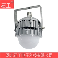LED泛光灯 NFC9190 220V 30W,NFC9190-50W工业LED灯