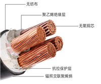 国标电缆 ZR-VV/YJV铜芯耐火电力电缆