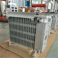 RB-2000/127A 矿用电热取暖器 防爆无水增安控温电热取暖器