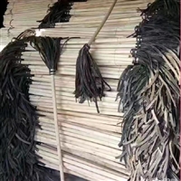 打火把 灭火把 扑火把 白蜡木杂木扑火把