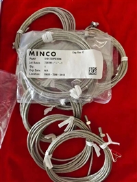 MINCO热电阻S101734PD3S96