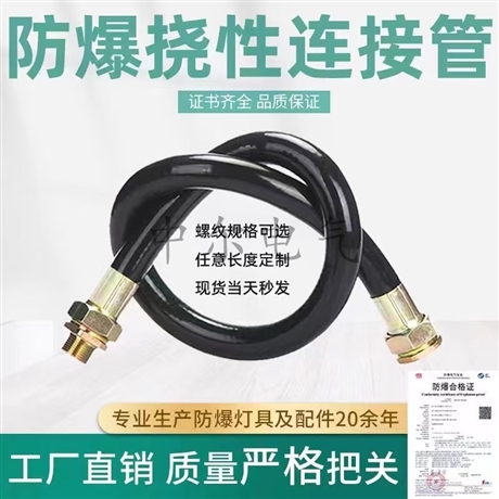 定做ExdIIC Gb防爆挠性连接管DN20*700mmG3/4内-G1外304不锈钢IP65