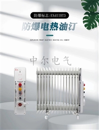 矿用厂用防爆取暖器1.5kw2kw3kw 7片9片11片隔爆油汀2000w大功率