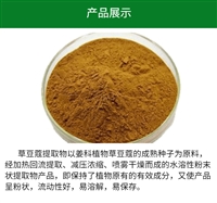 草豆蔻提取物 比例提浓缩浸膏 水溶性精细粉末 可定制