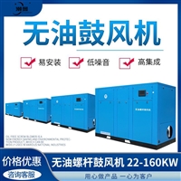 螺杆鼓风机 无油变频节能型 30千瓦28立方