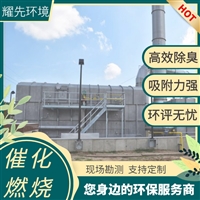 蚌埠沸石转轮吸附浓缩 RCO 滨海rco催化燃烧炉技术方案 滁州rco 催化燃烧设备价格 耀先